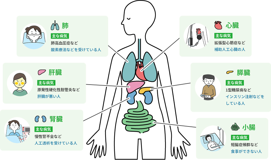臓器移植の対象となる臓器と主な病気 日本臓器移植ネットワーク